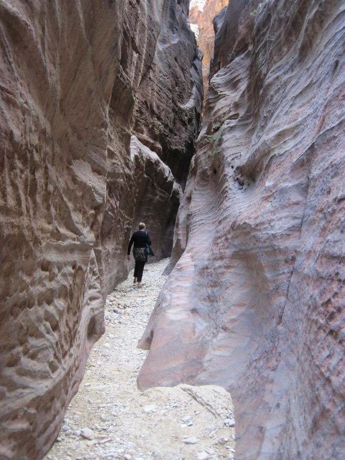 The Rock Camp Petra Hotel วาดี มูซา ภายนอก รูปภาพ